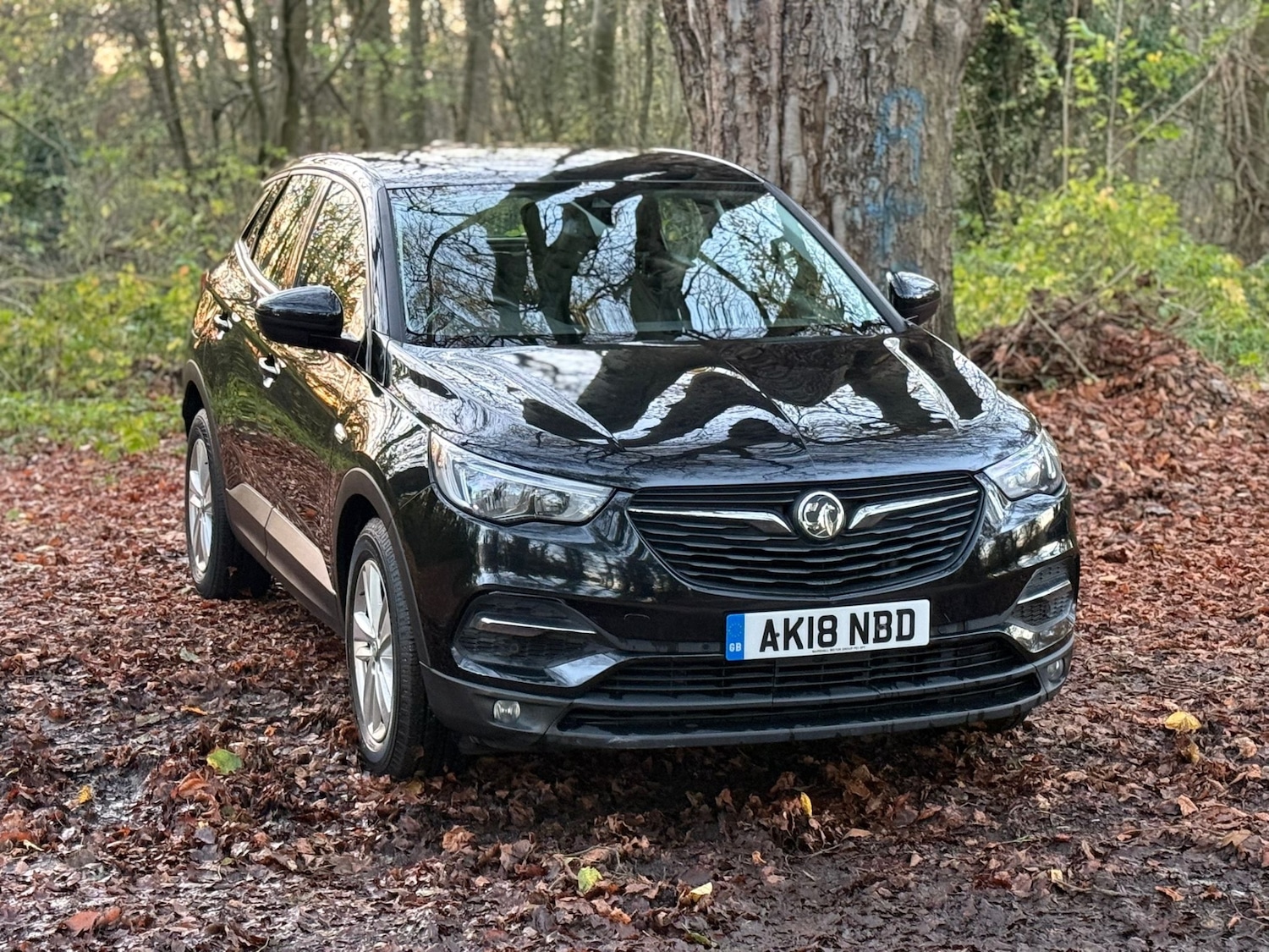 Used Vauxhall Grandland X 2018 for sale - 76602965: Photo 2