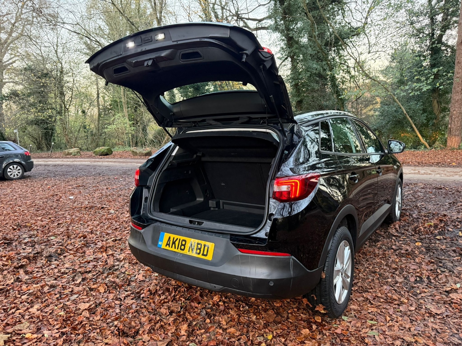 Used Vauxhall Grandland X 2018 for sale - 76602965: Photo 21