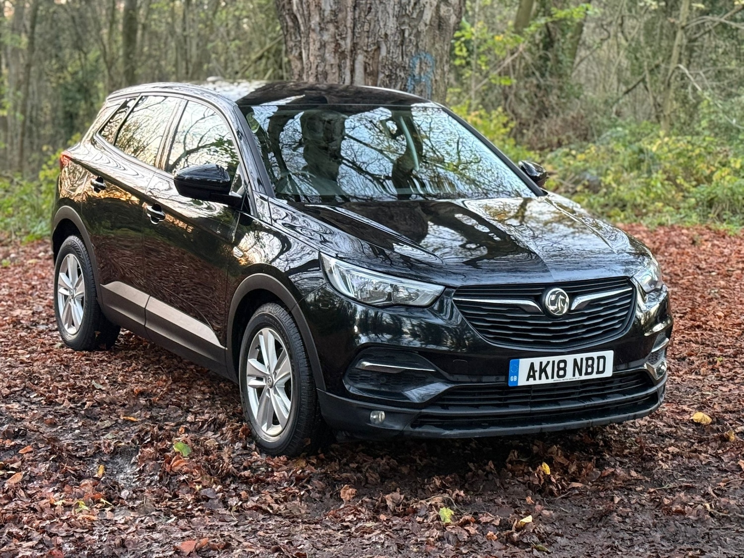 Used Vauxhall Grandland X 2018 for sale - 76602965: Photo 3