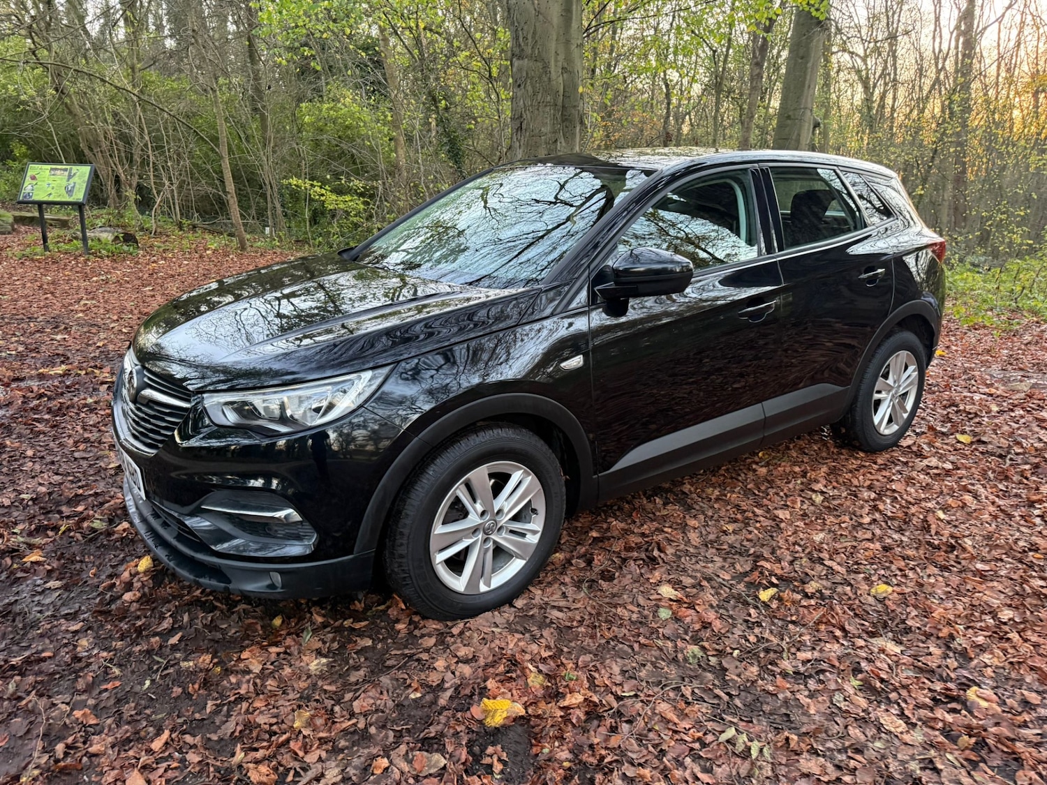 Used Vauxhall Grandland X 2018 for sale - 76602965: Photo 4