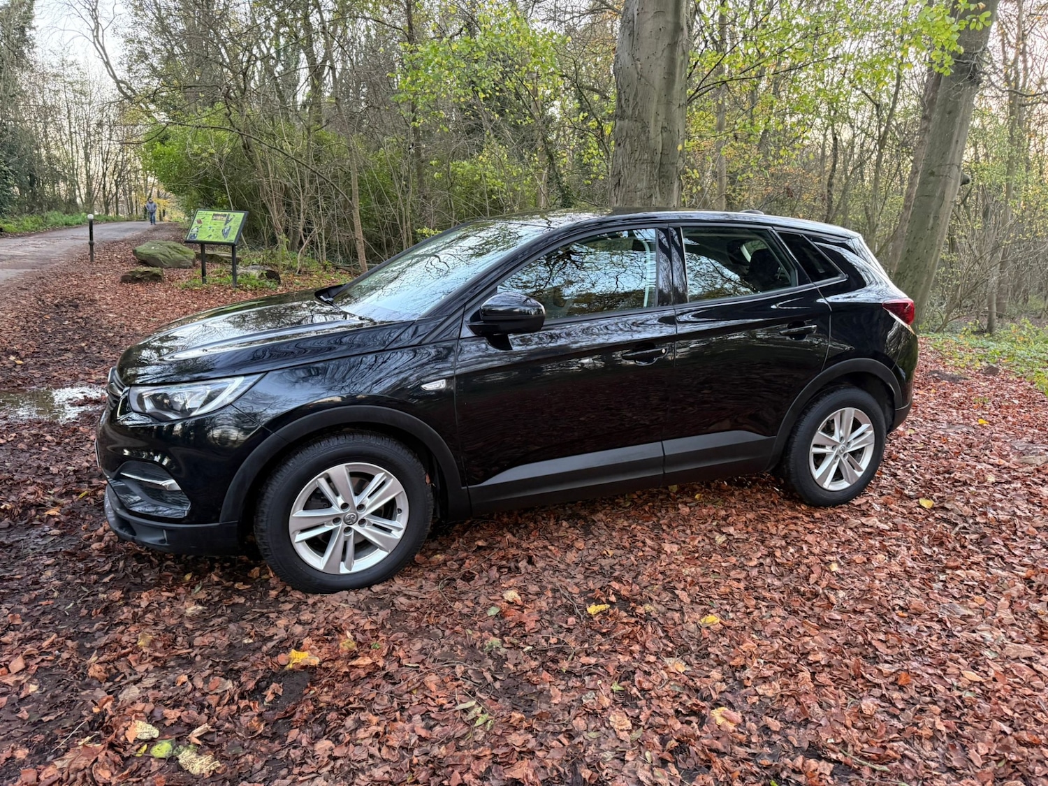 Used Vauxhall Grandland X 2018 for sale - 76602965: Photo 5
