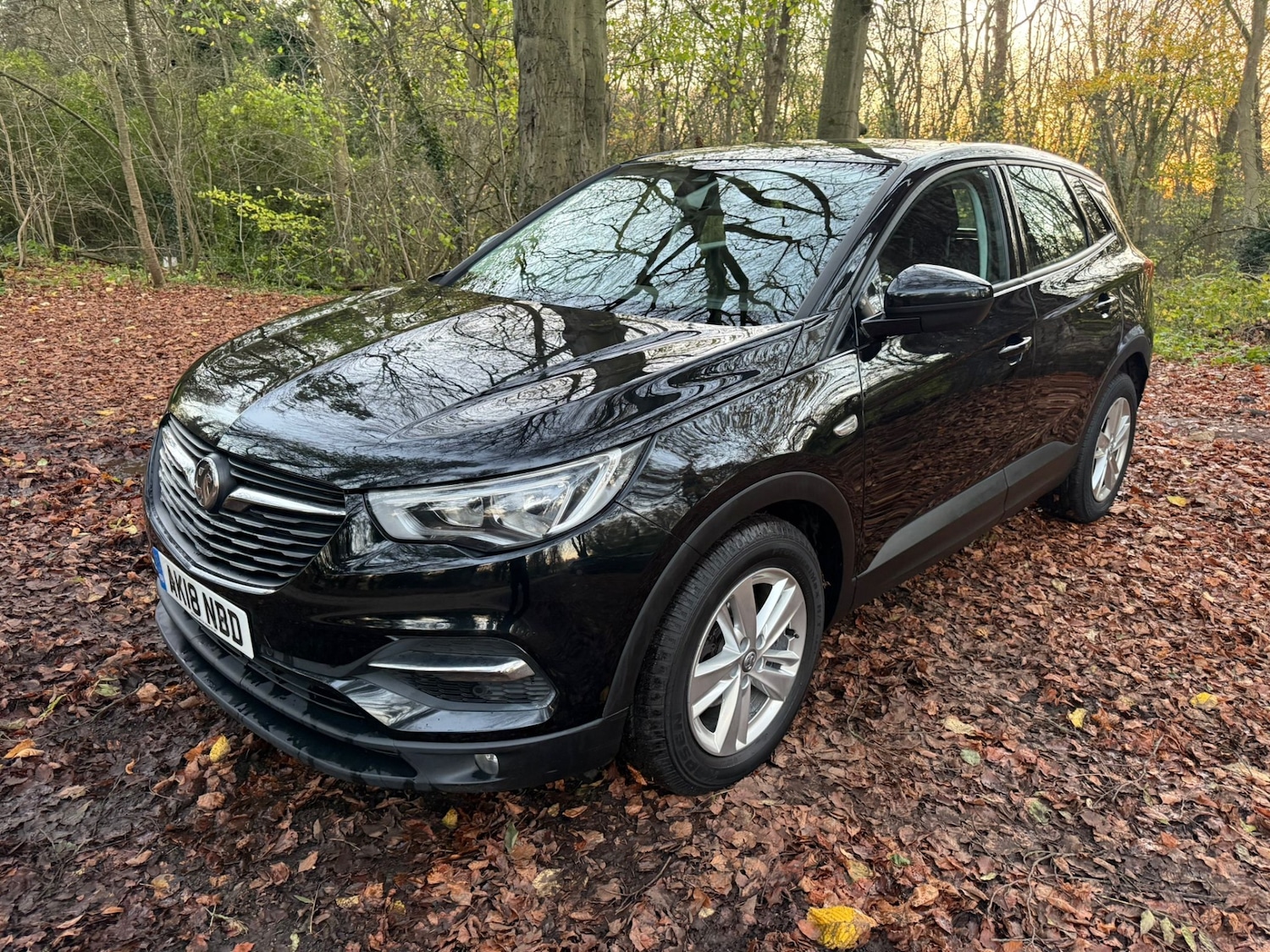 Used Vauxhall Grandland X 2018 for sale - 76602965: Photo 7