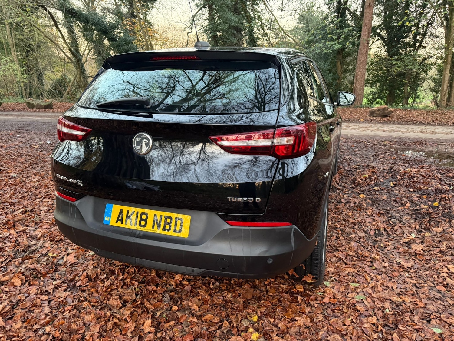 Used Vauxhall Grandland X 2018 for sale - 76602965: Photo 9