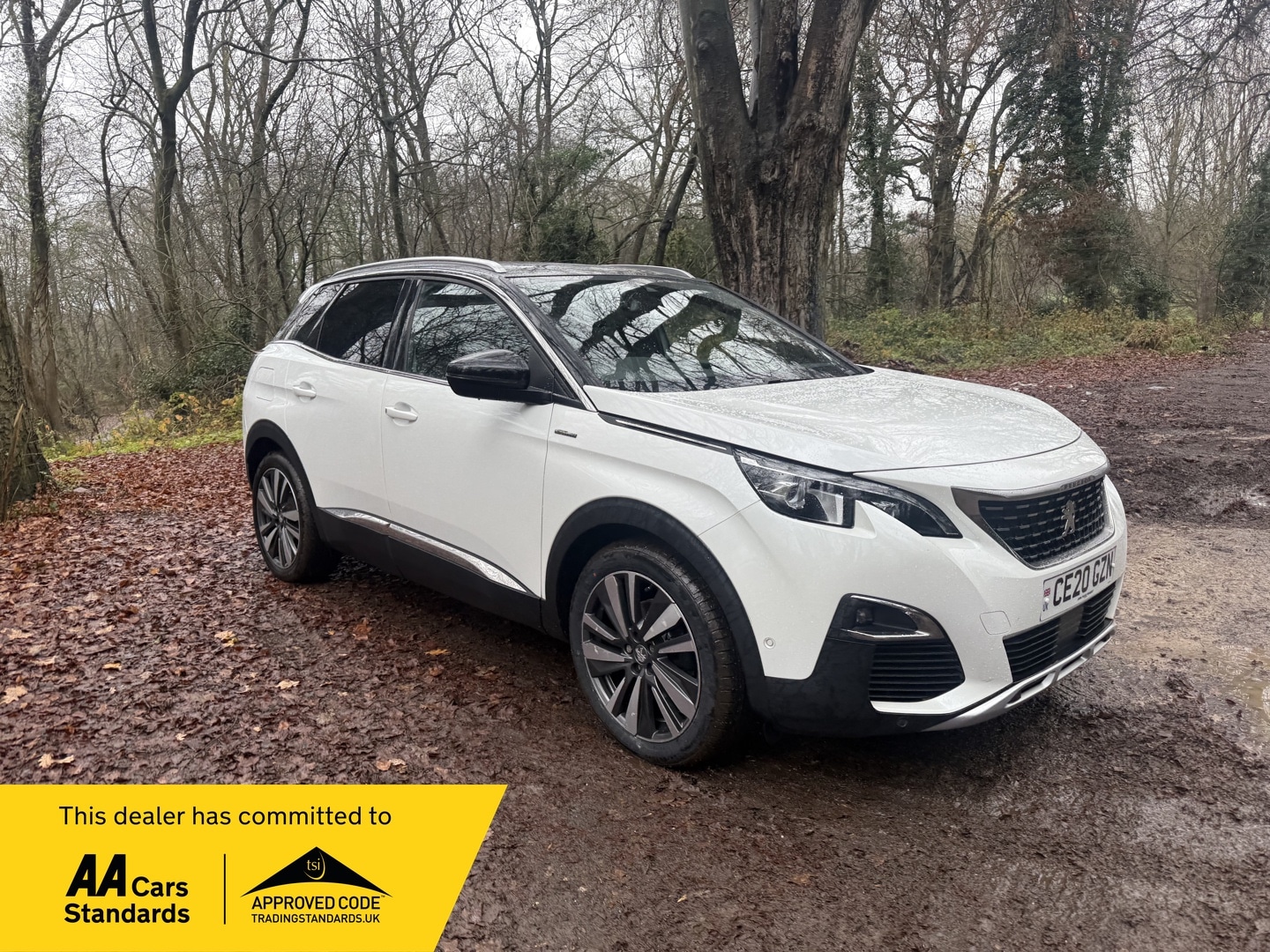 Used Peugeot 3008 2020 for sale - 76948530: Photo 1