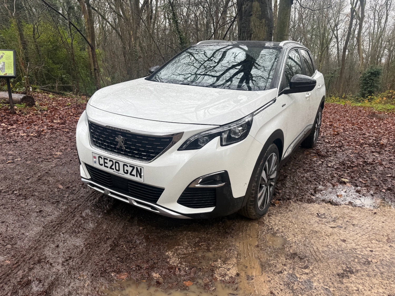 Used Peugeot 3008 2020 for sale - 76948530: Photo 10