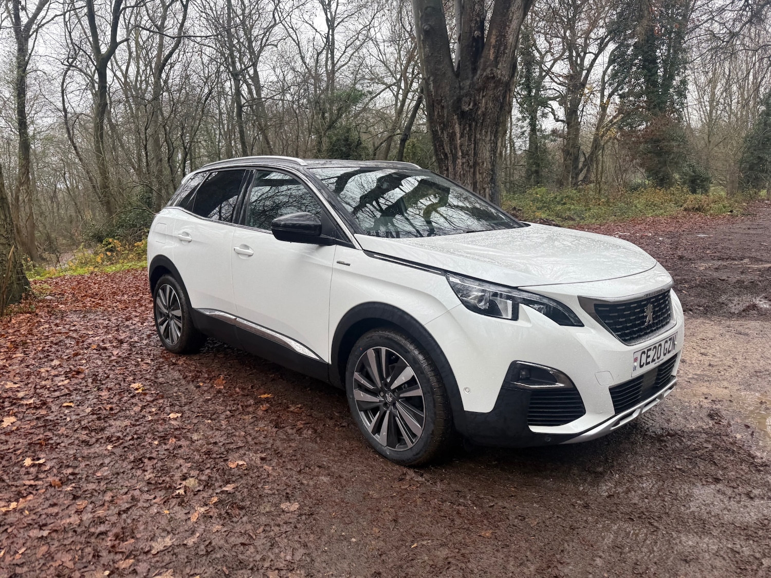 Used Peugeot 3008 2020 for sale - 76948530: Photo 11