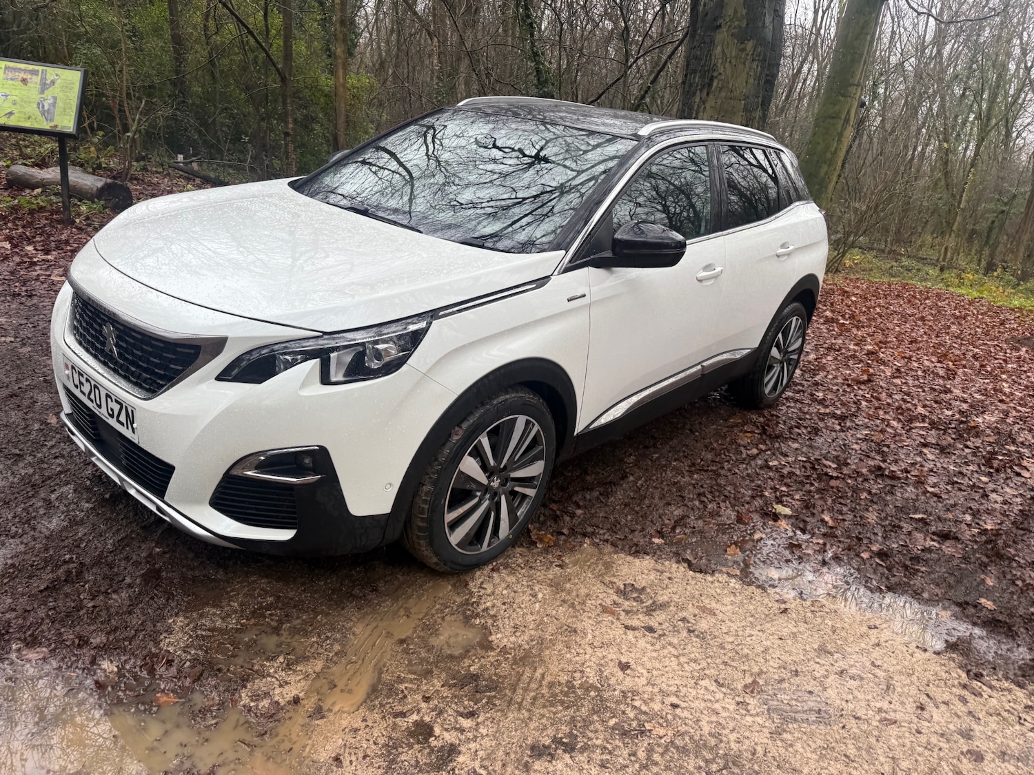 Used Peugeot 3008 2020 for sale - 76948530: Photo 12