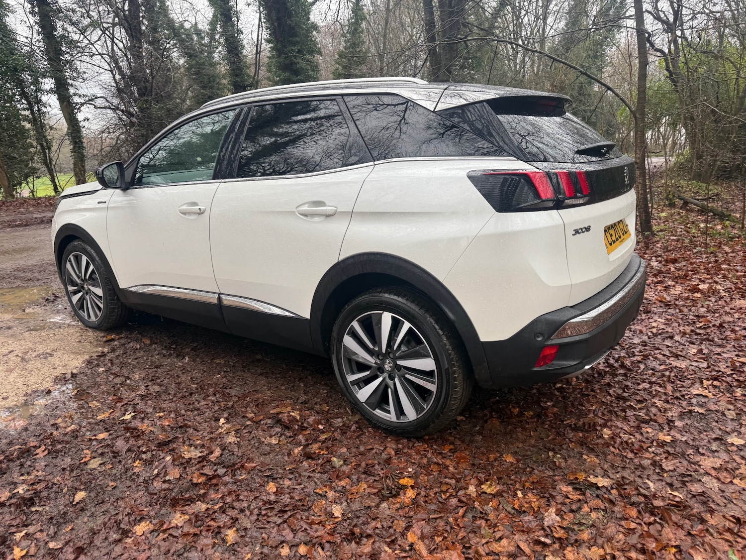 Used Peugeot 3008 2020 for sale - 76948530: Photo 14