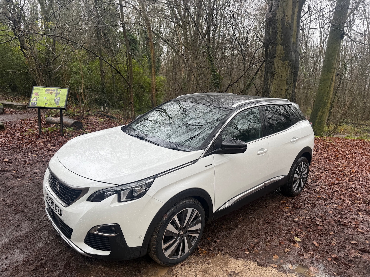 Used Peugeot 3008 2020 for sale - 76948530: Photo 17