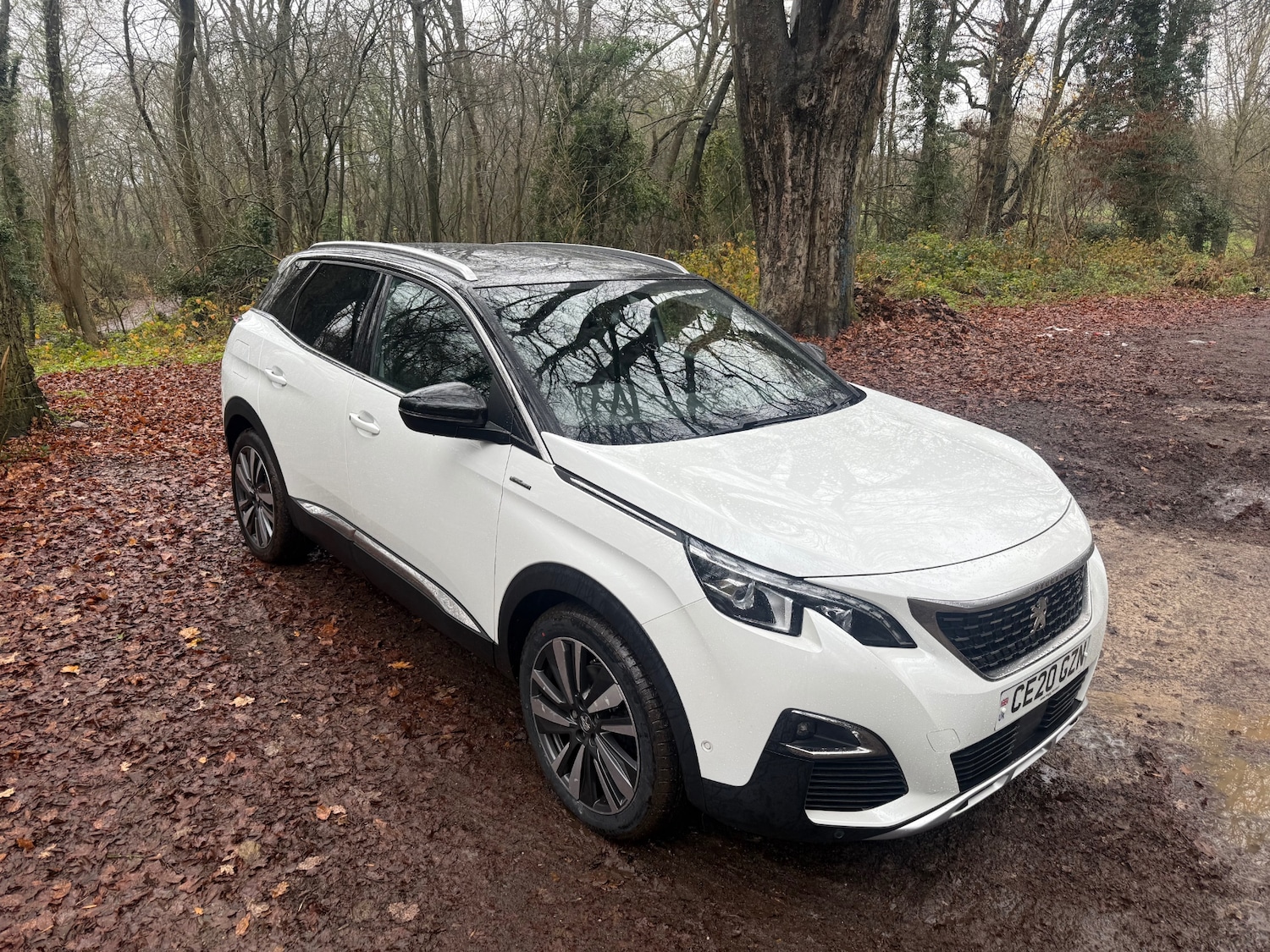 Used Peugeot 3008 2020 for sale - 76948530: Photo 18
