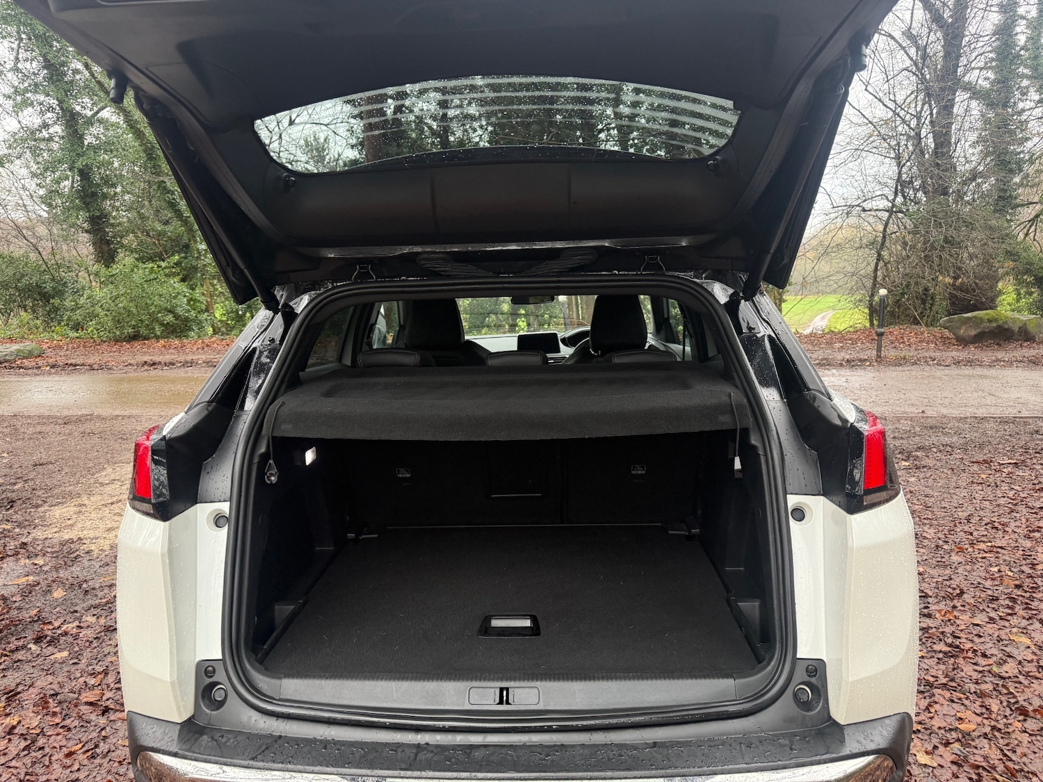 Used Peugeot 3008 2020 for sale - 76948530: Photo 21