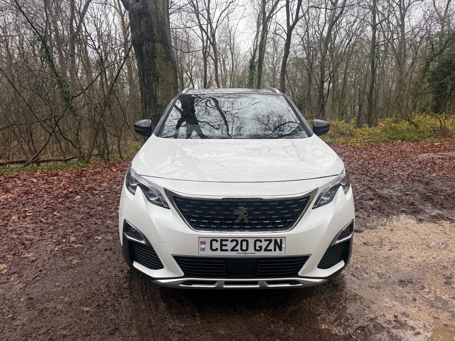 Used Peugeot 3008 2020 for sale - 76948530: Photo 29