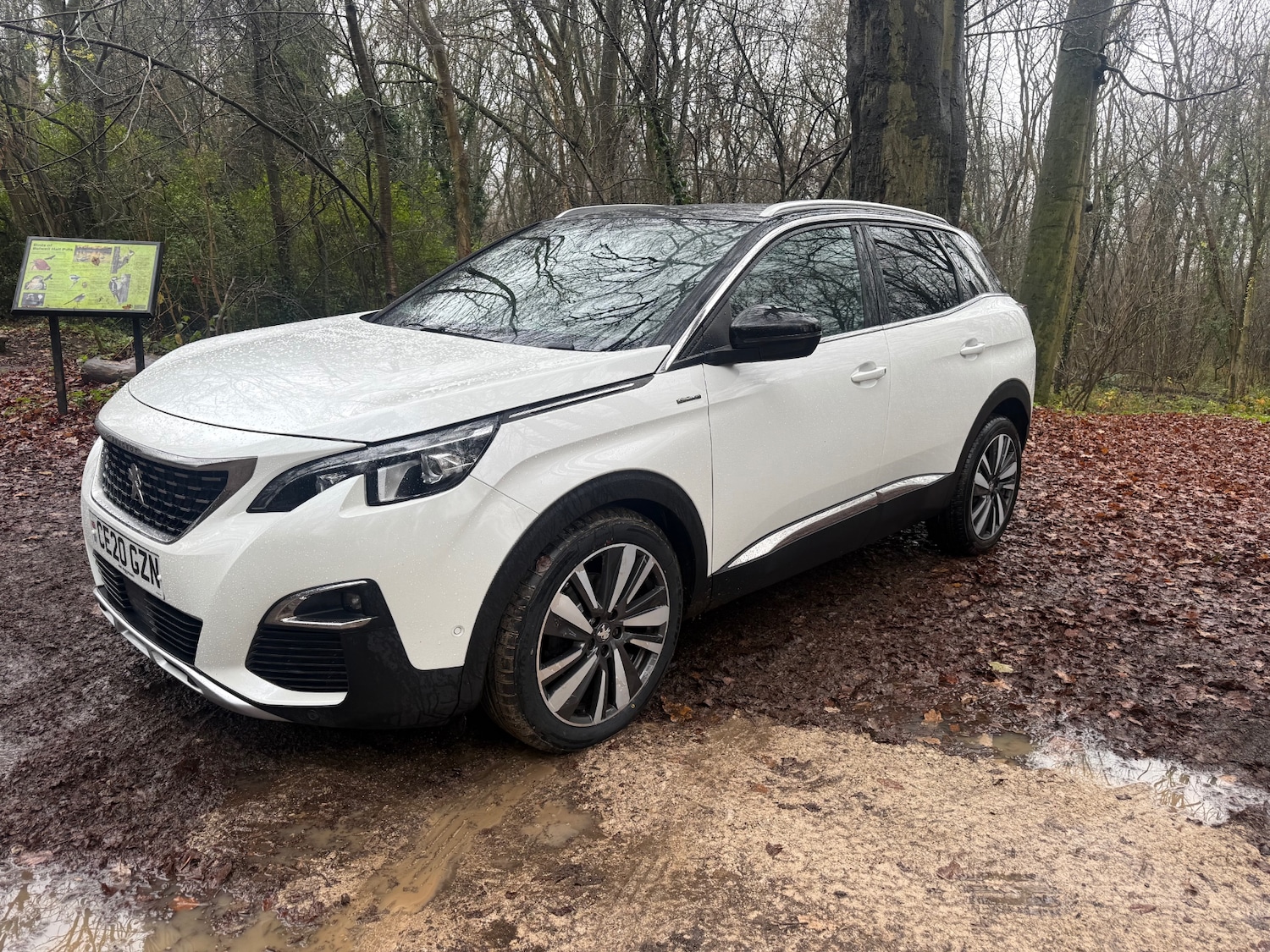 Used Peugeot 3008 2020 for sale - 76948530: Photo 3