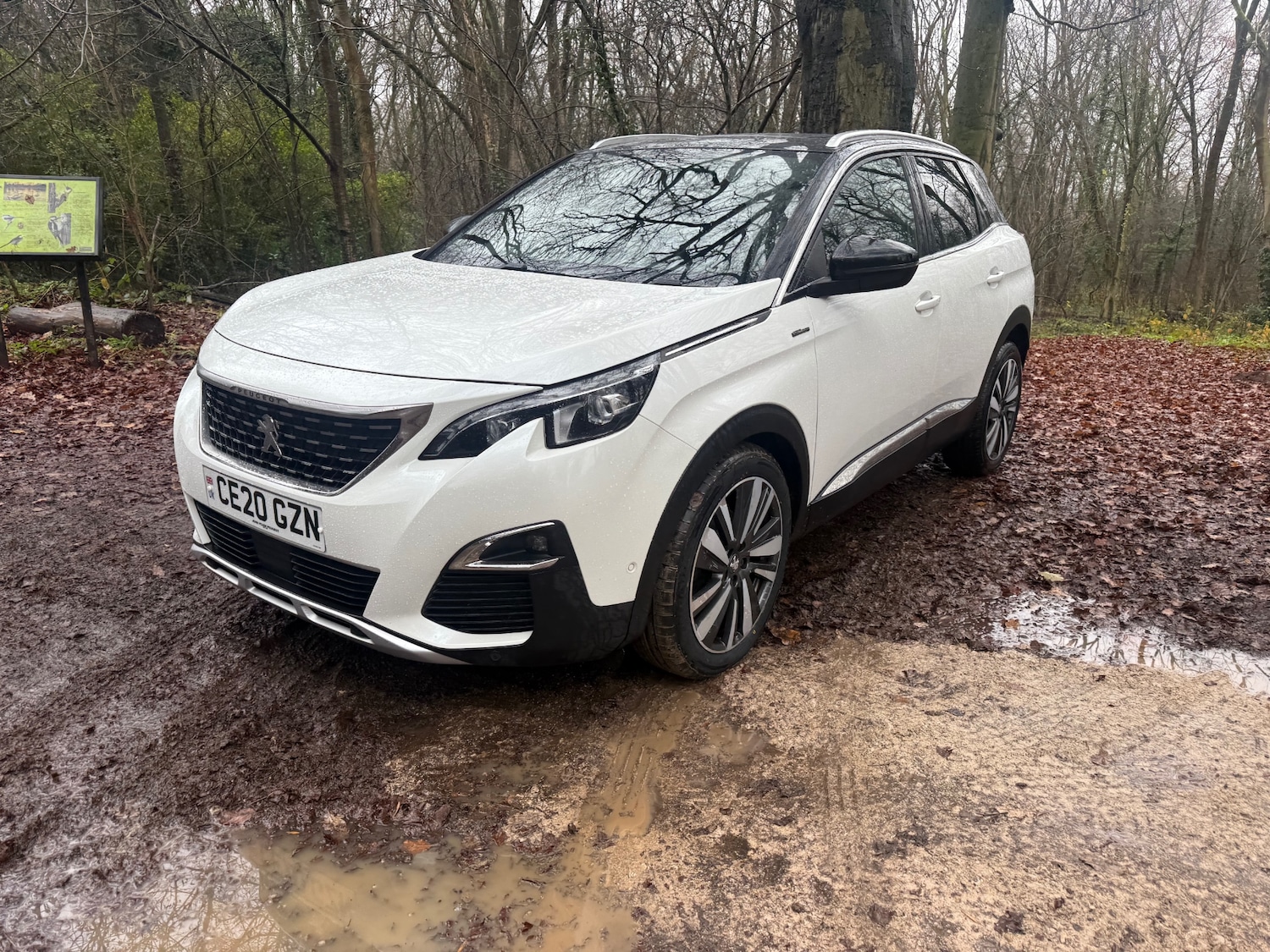 Used Peugeot 3008 2020 for sale - 76948530: Photo 30