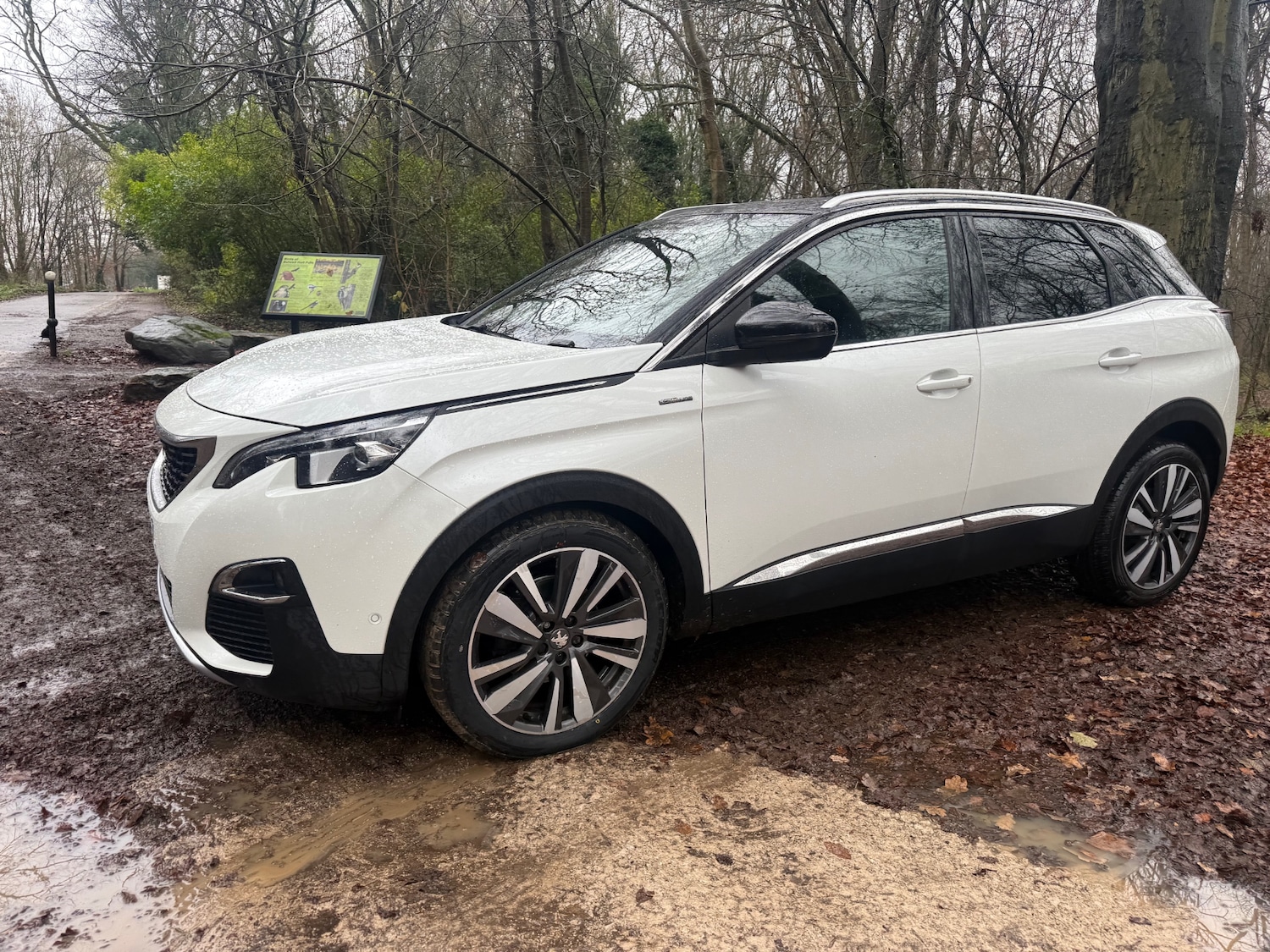 Used Peugeot 3008 2020 for sale - 76948530: Photo 31
