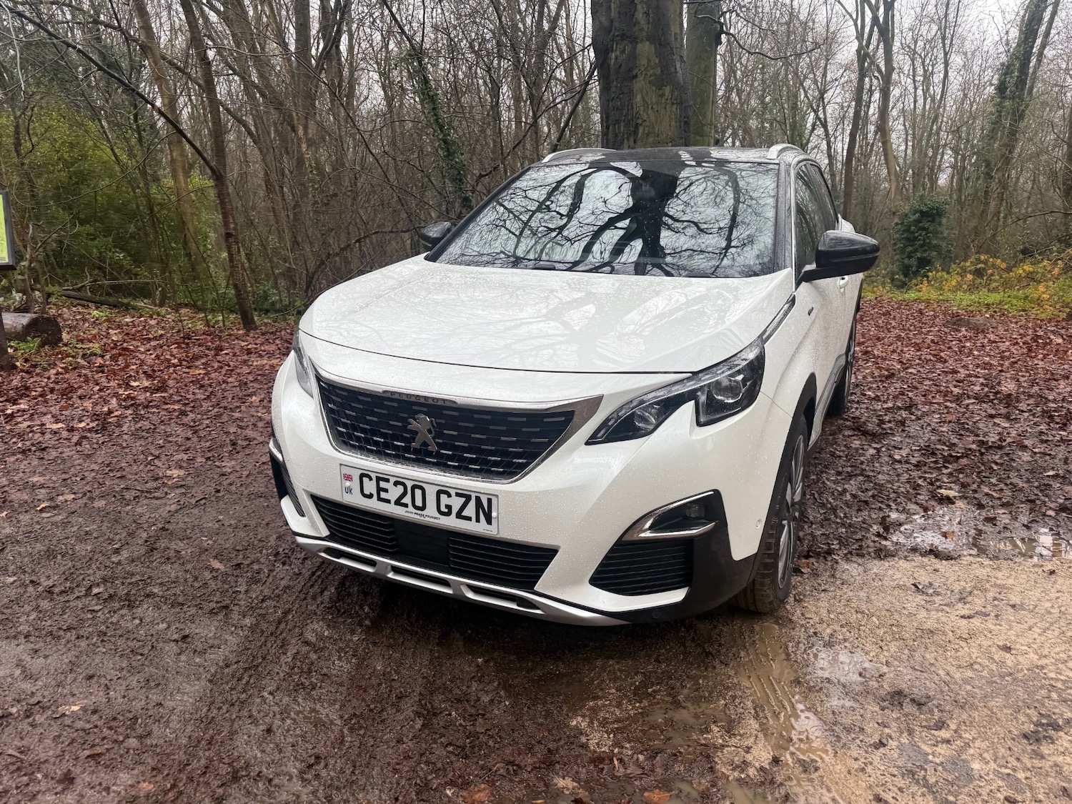 Used Peugeot 3008 2020 for sale - 76948530: Photo 32