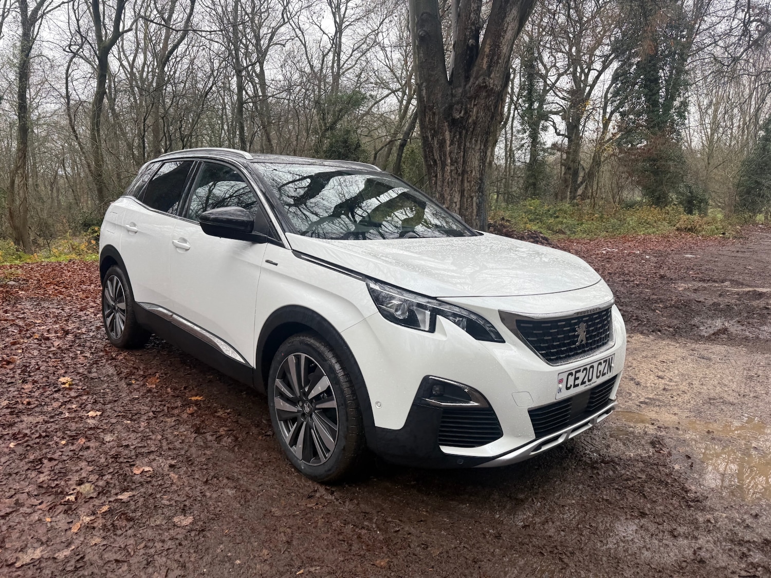 Used Peugeot 3008 2020 for sale - 76948530: Photo 5