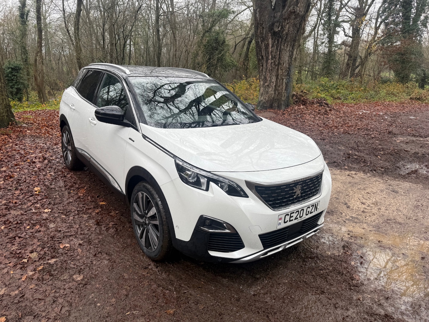 Used Peugeot 3008 2020 for sale - 76948530: Photo 7