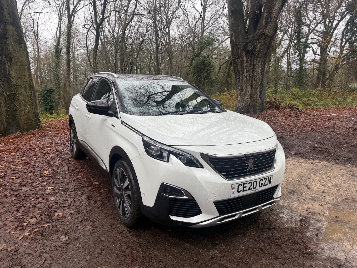 Used Peugeot 3008 2020 for sale - 76948530: Photo 8