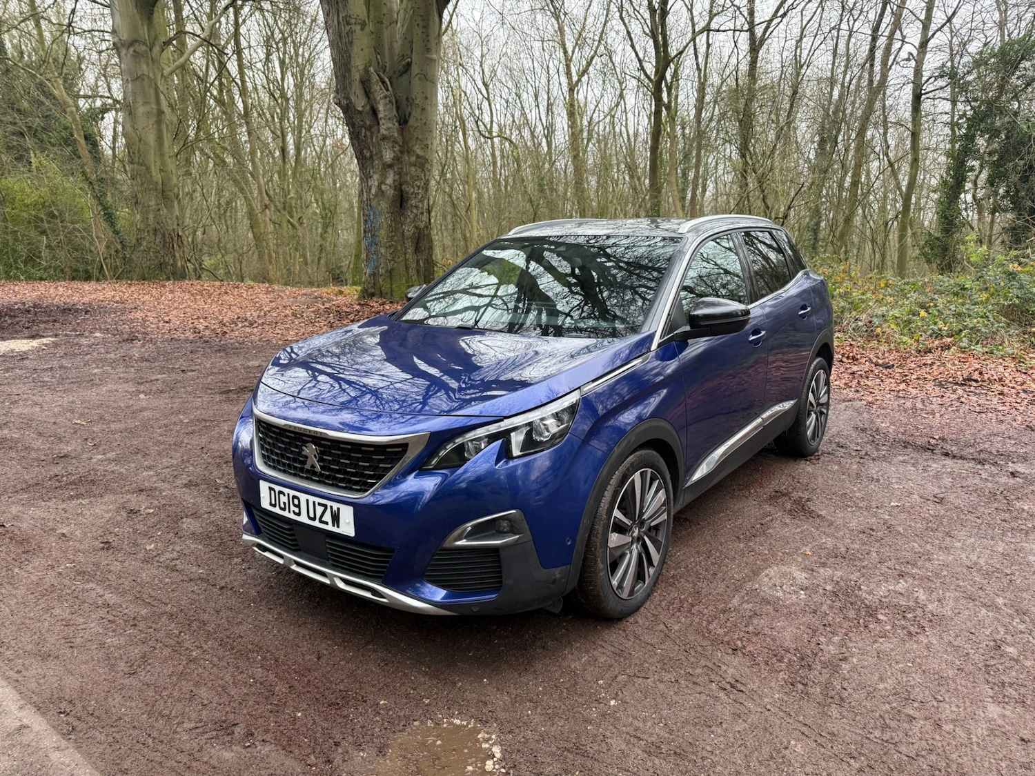 Used Peugeot 3008 2019 for sale - 77034430: Photo 15