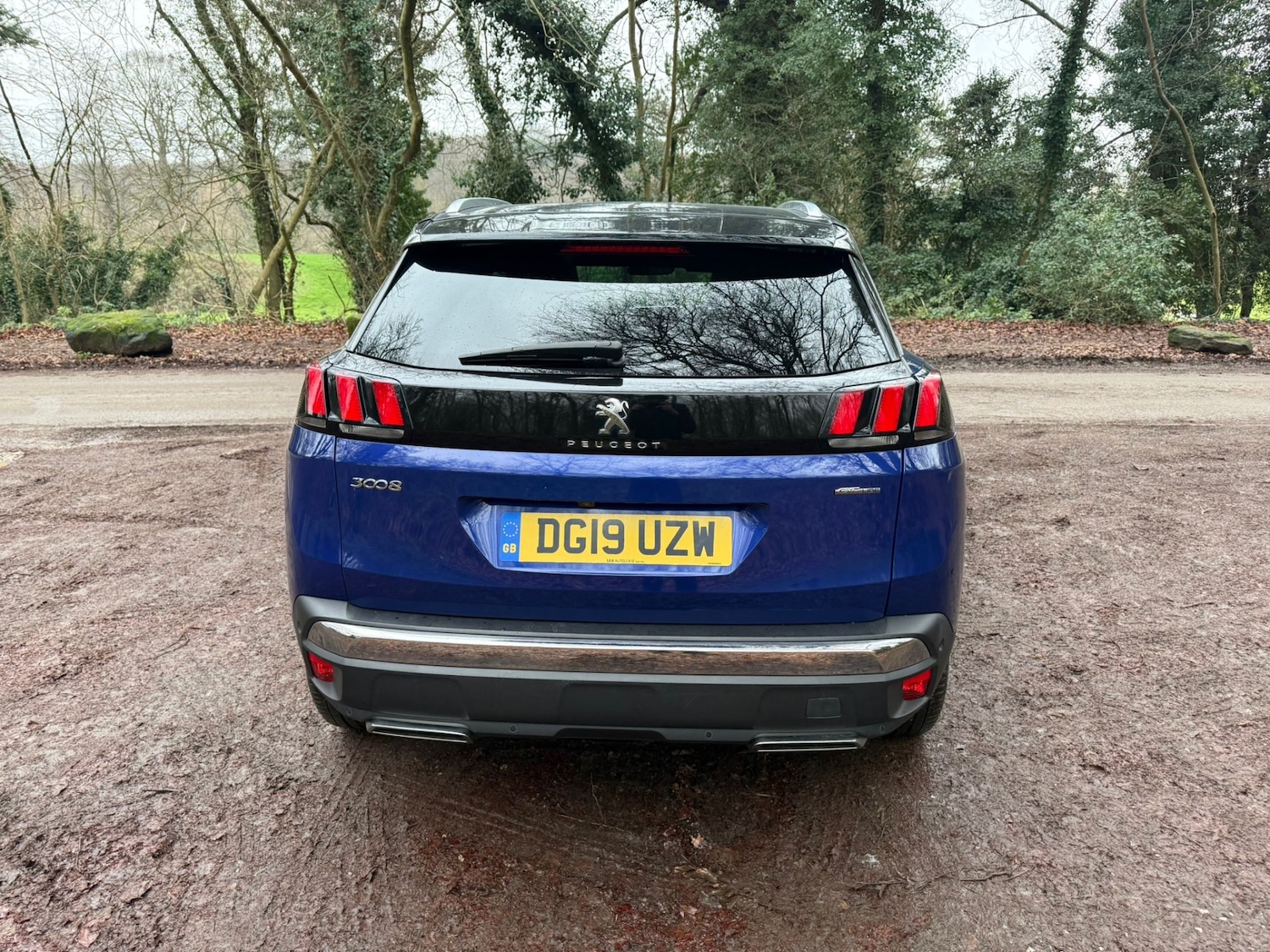 Used Peugeot 3008 2019 for sale - 77034430: Photo 17