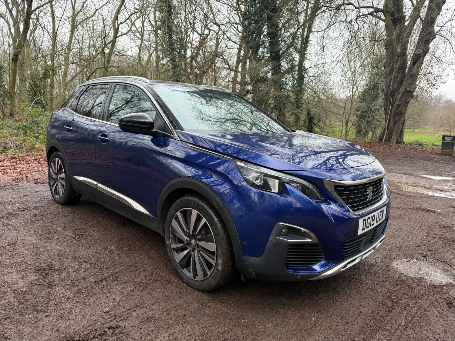 Used Peugeot 3008 2019 for sale - 77034430: Photo 19