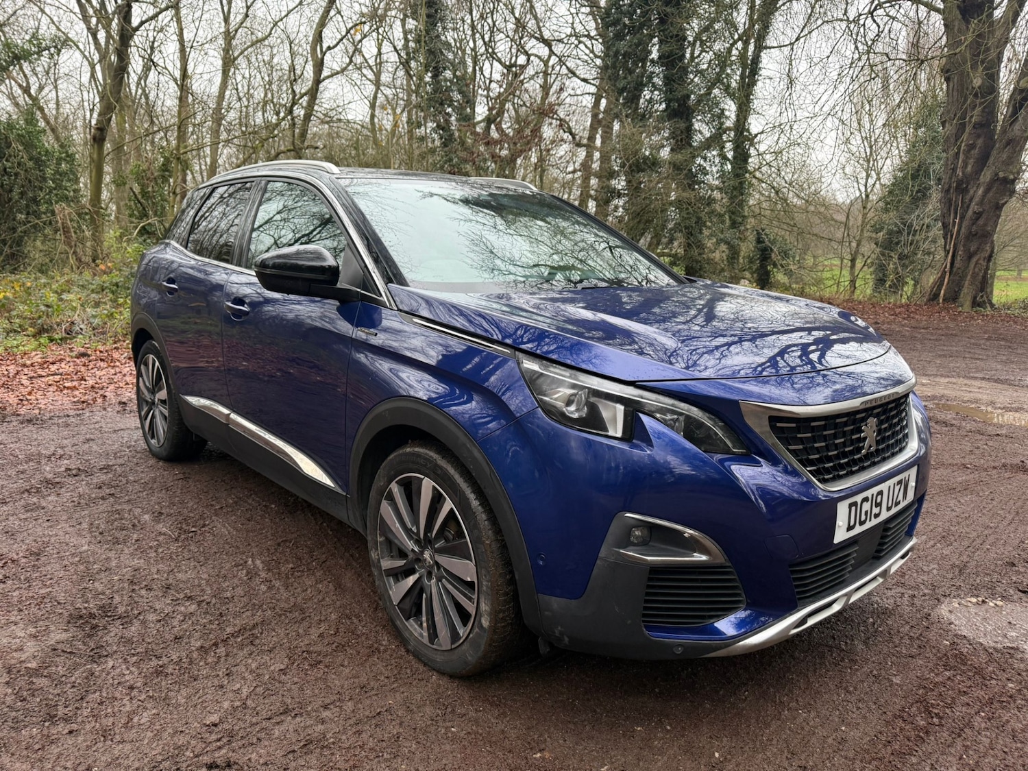 Used Peugeot 3008 2019 for sale - 77034430: Photo 2