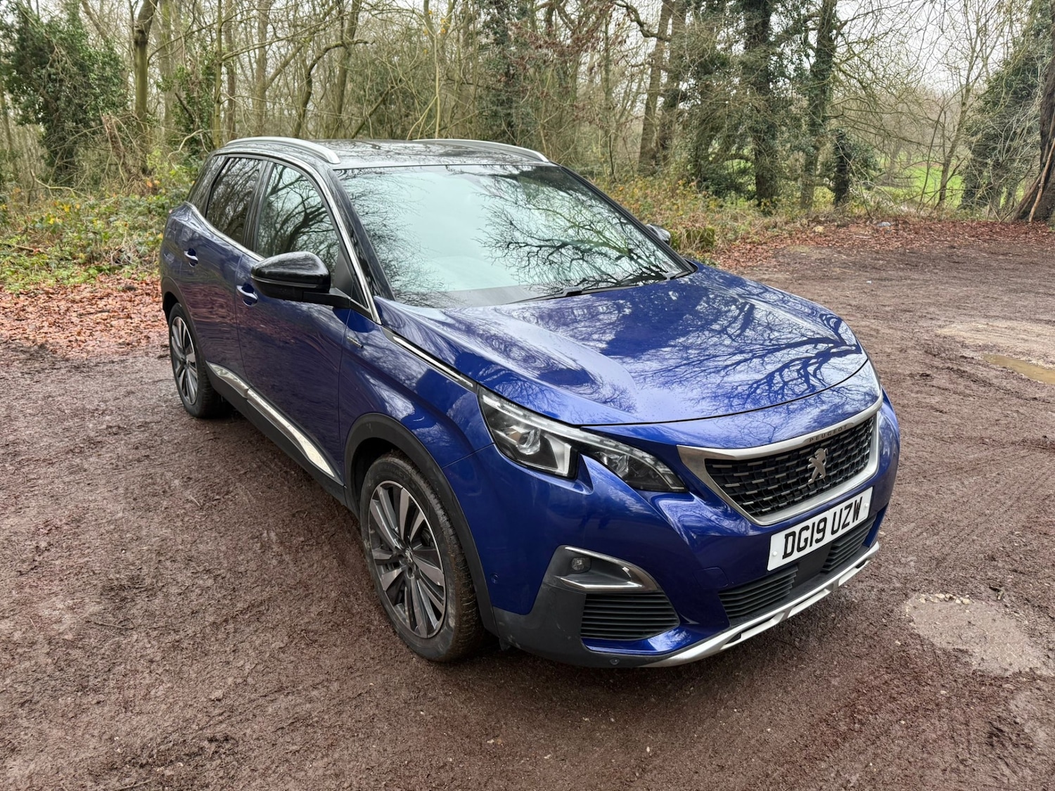Used Peugeot 3008 2019 for sale - 77034430: Photo 21