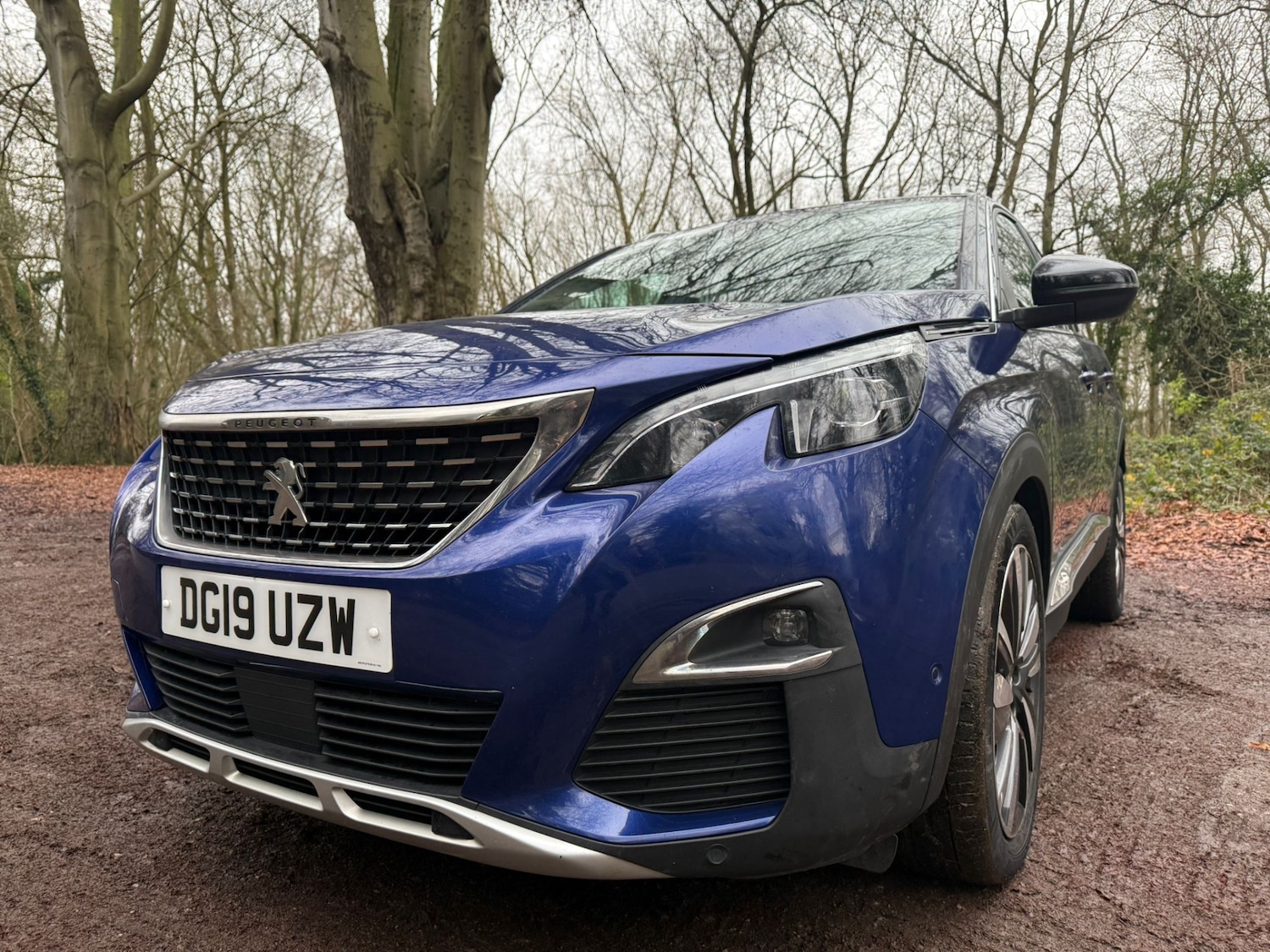 Used Peugeot 3008 2019 for sale - 77034430: Photo 3