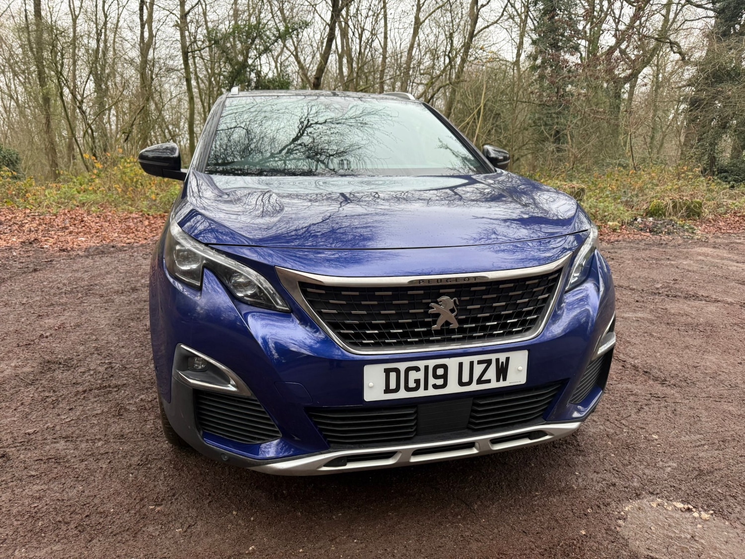Used Peugeot 3008 2019 for sale - 77034430: Photo 7