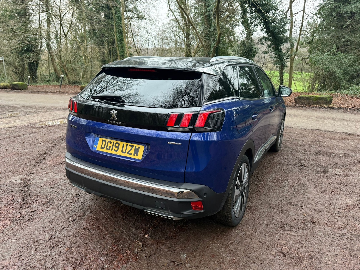 Used Peugeot 3008 2019 for sale - 77034430: Photo 9