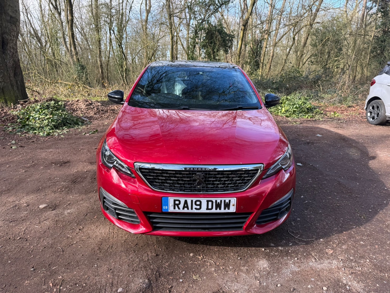 Used Peugeot 308 2019 for sale - 77812954: Photo 4