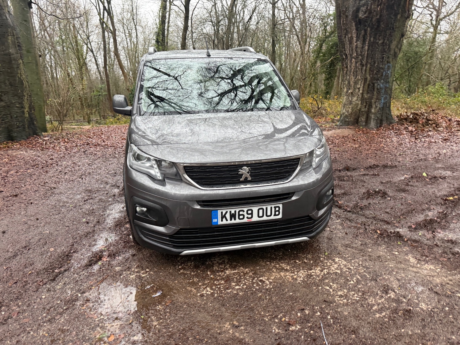 Used Peugeot Rifter 2019 for sale - 77337800: Photo 5