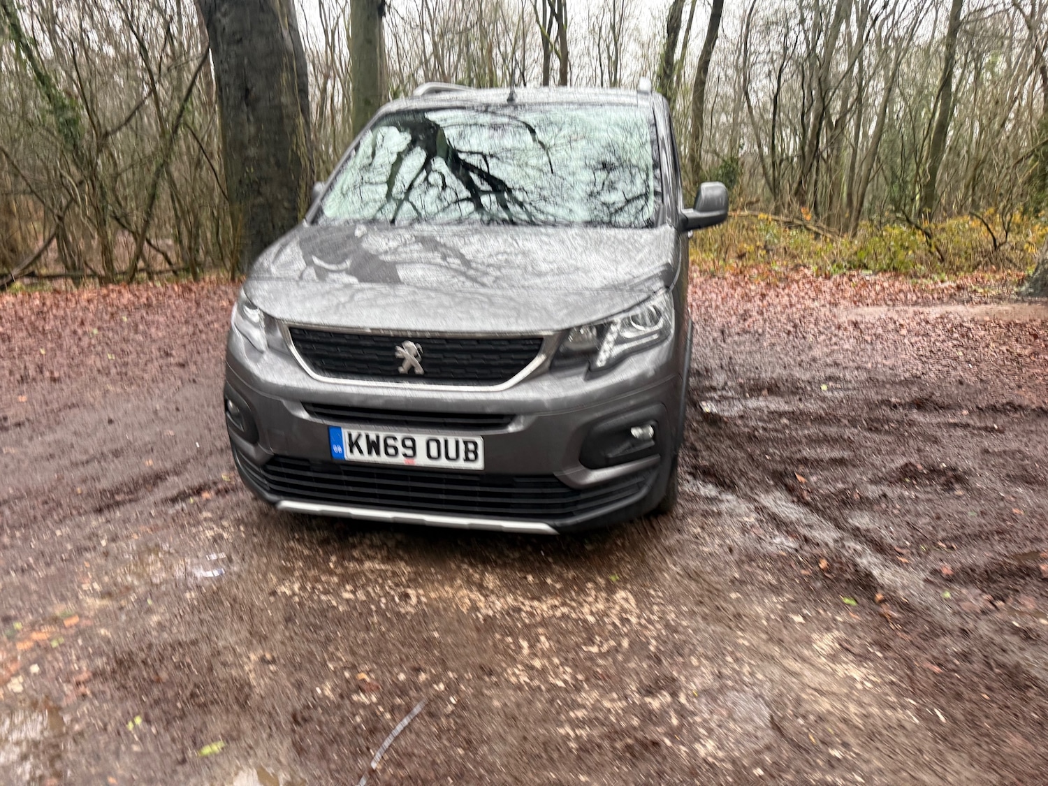 Used Peugeot Rifter 2019 for sale - 77337800: Photo 8