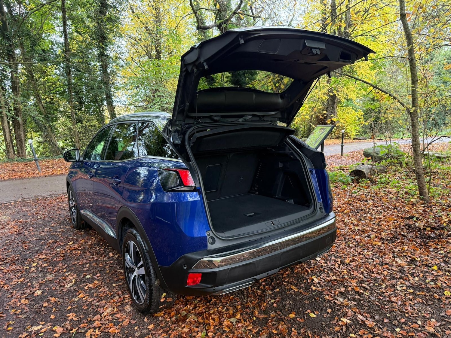 Used Peugeot 3008 2019 for sale - 76404514: Photo 19