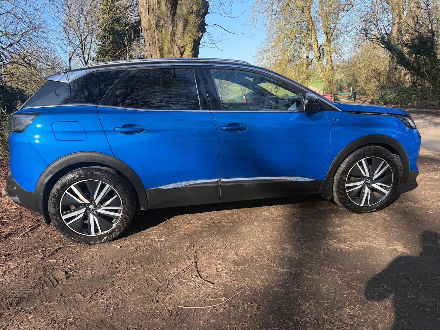 Used Peugeot 3008 2021 for sale - 77744379: Photo 3