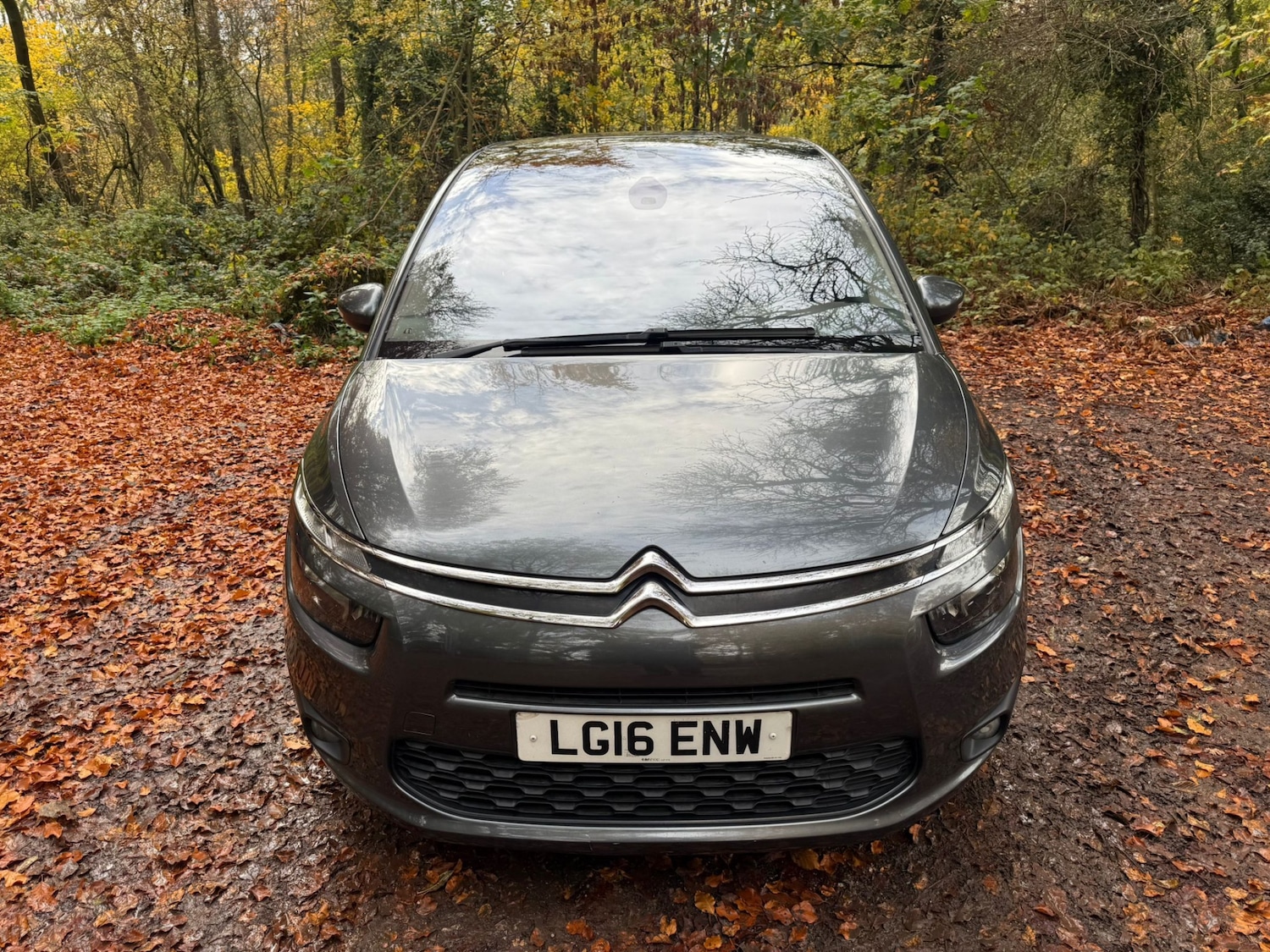 Used Citroen C4 Grand Picasso 2016 for sale - 76477740: Photo 3