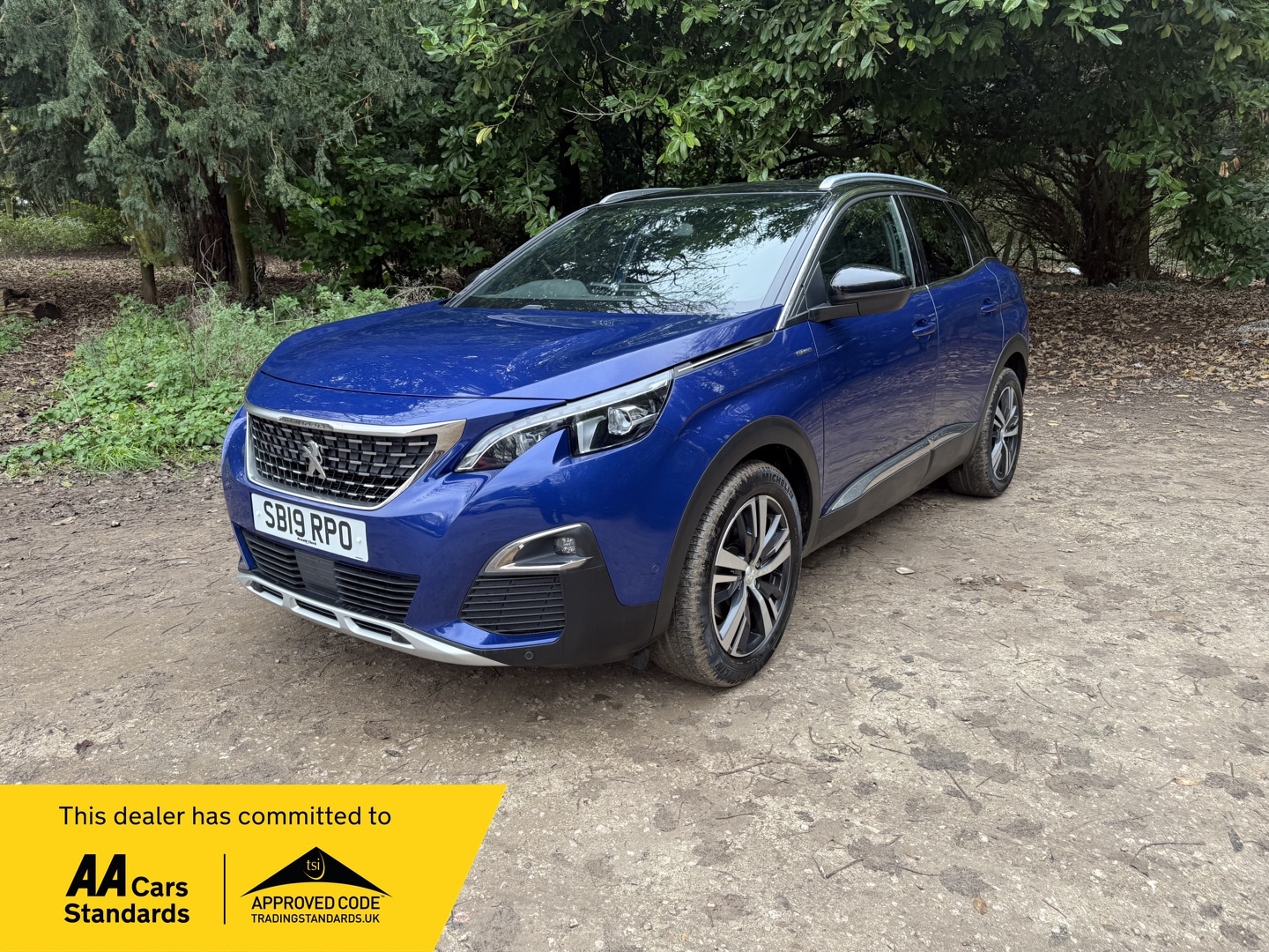 Used Peugeot 3008 2019 for sale - 76719103: Photo 1