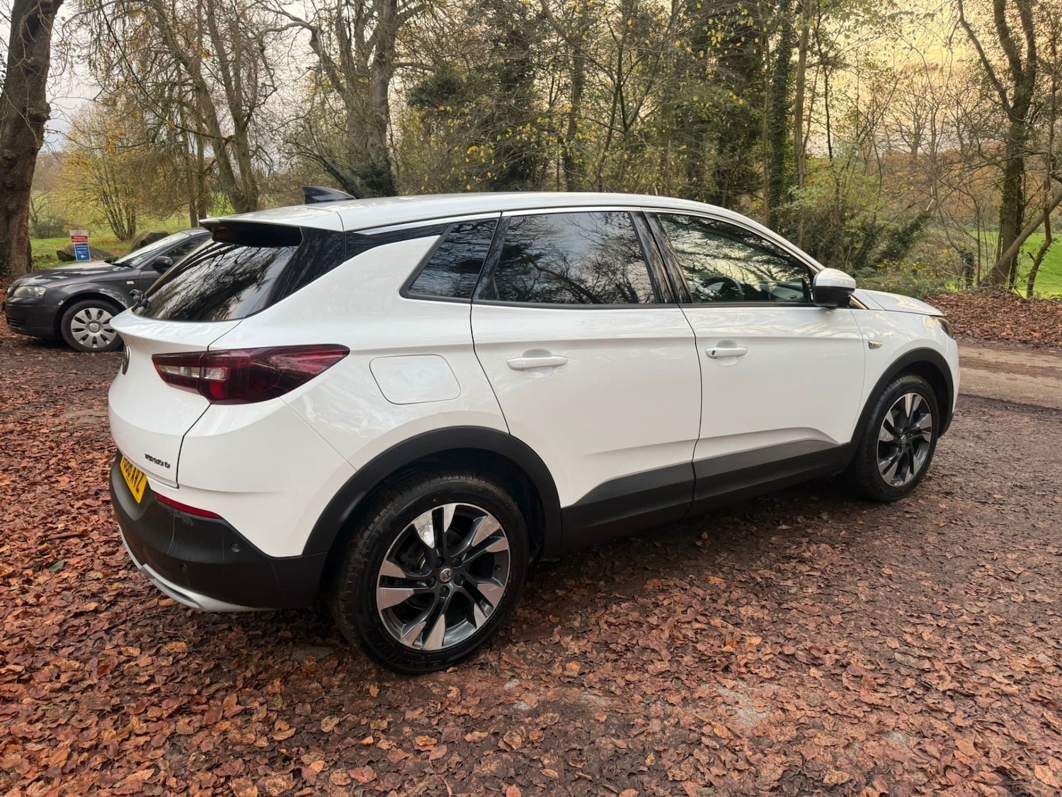 Used Vauxhall Grandland X 2018 for sale - 76618211: Photo 10