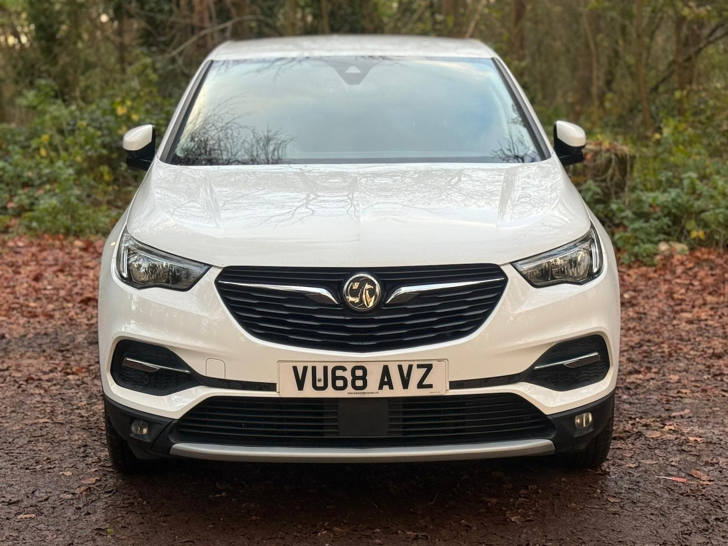 Used Vauxhall Grandland X 2018 for sale - 76618211: Photo 12