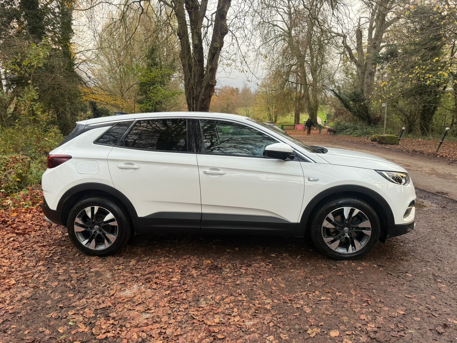 Used Vauxhall Grandland X 2018 for sale - 76618211: Photo 13