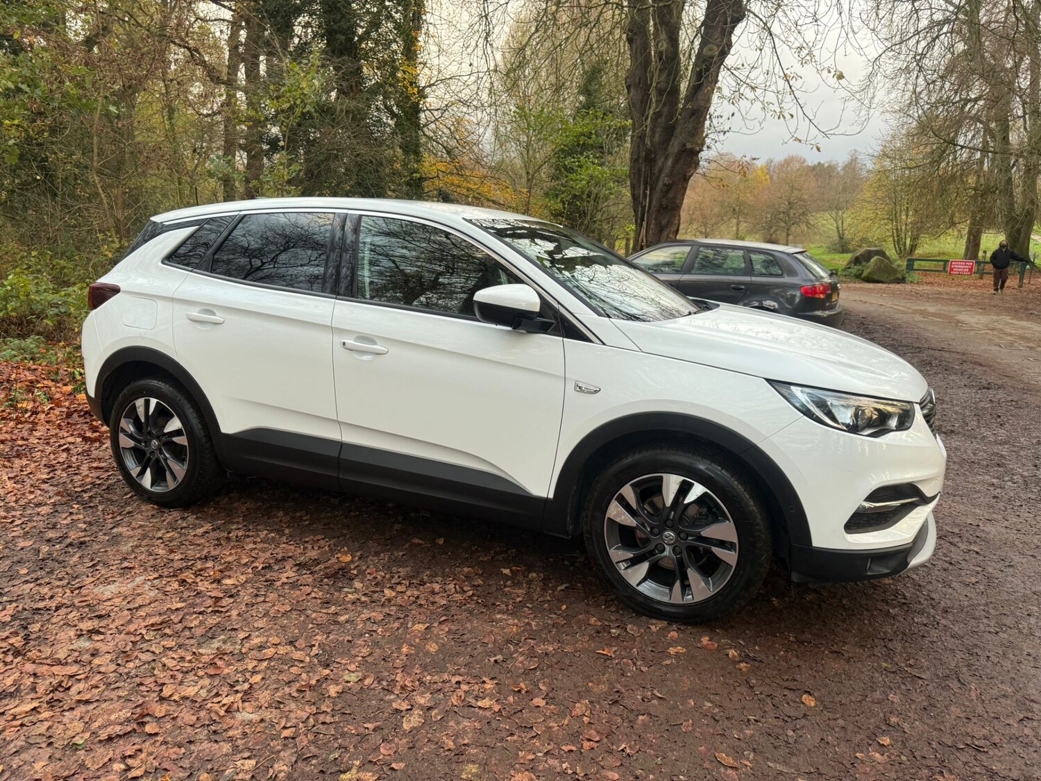 Used Vauxhall Grandland X 2018 for sale - 76618211: Photo 16