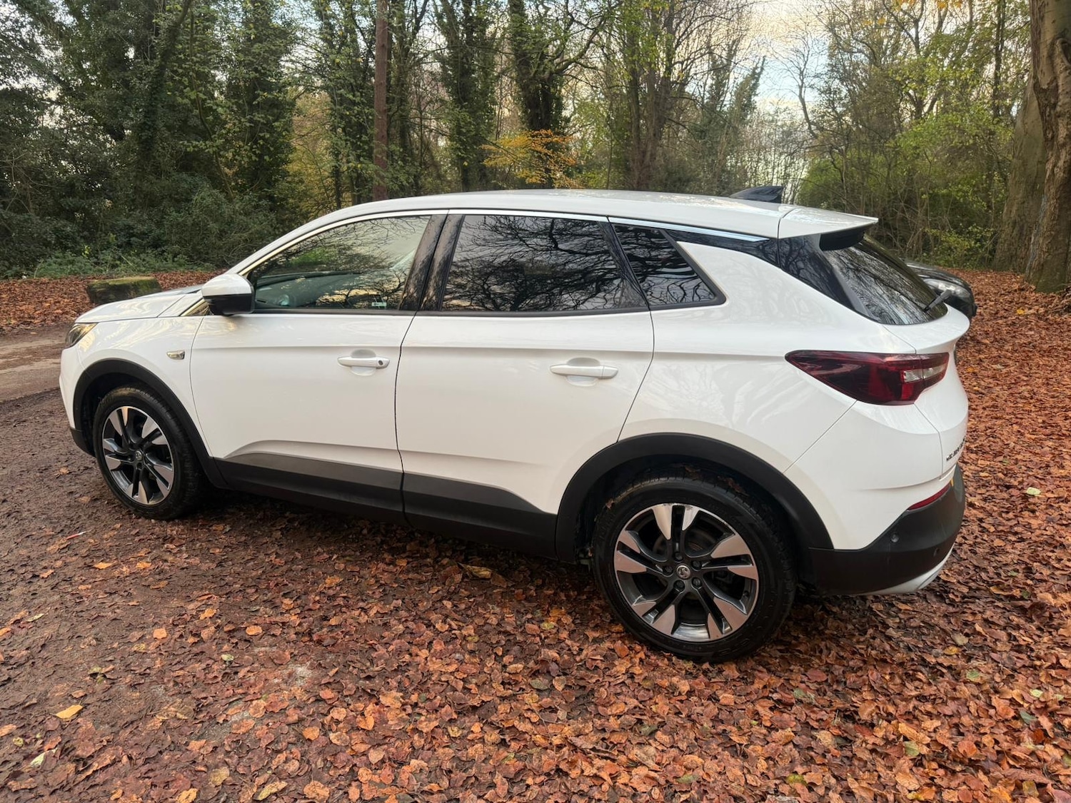 Used Vauxhall Grandland X 2018 for sale - 76618211: Photo 17