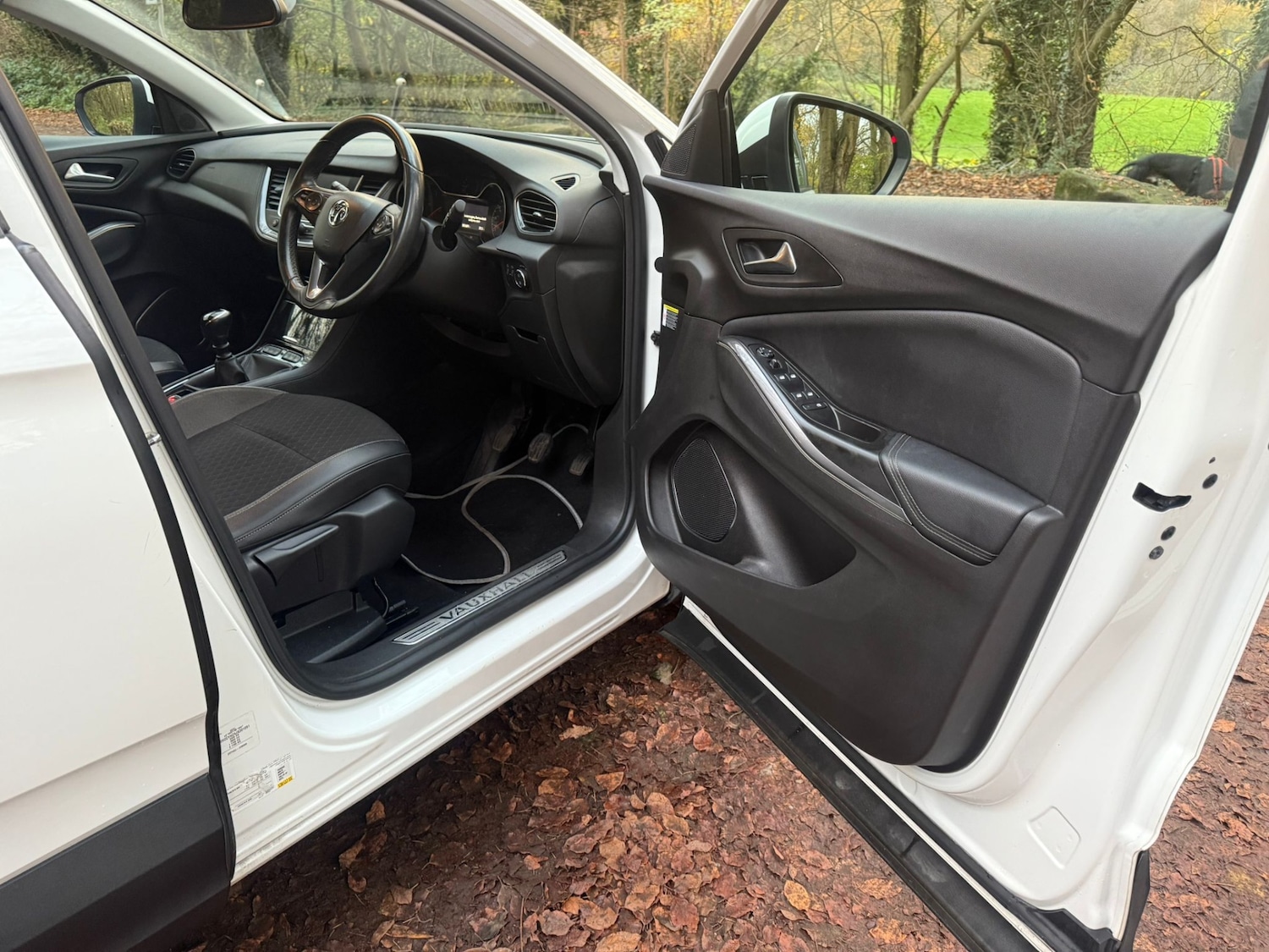 Used Vauxhall Grandland X 2018 for sale - 76618211: Photo 19