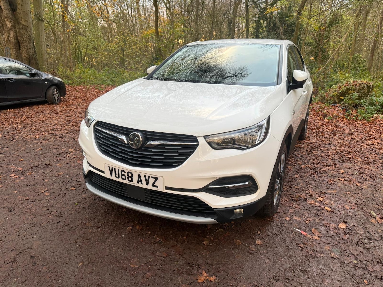 Used Vauxhall Grandland X 2018 for sale - 76618211: Photo 22