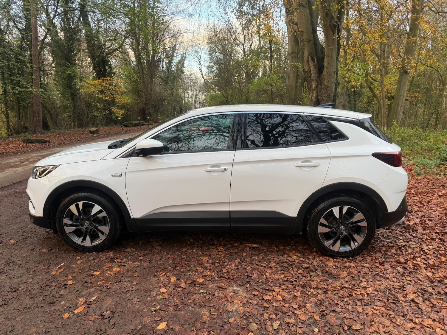 Used Vauxhall Grandland X 2018 for sale - 76618211: Photo 27