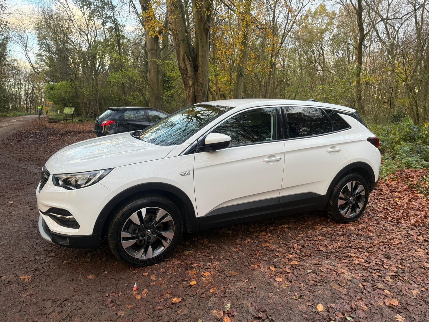 Used Vauxhall Grandland X 2018 for sale - 76618211: Photo 4