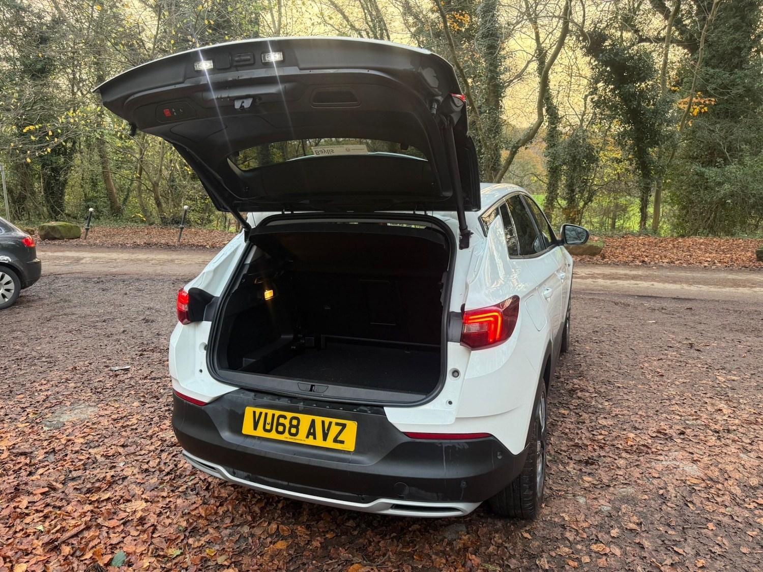 Used Vauxhall Grandland X 2018 for sale - 76618211: Photo 9