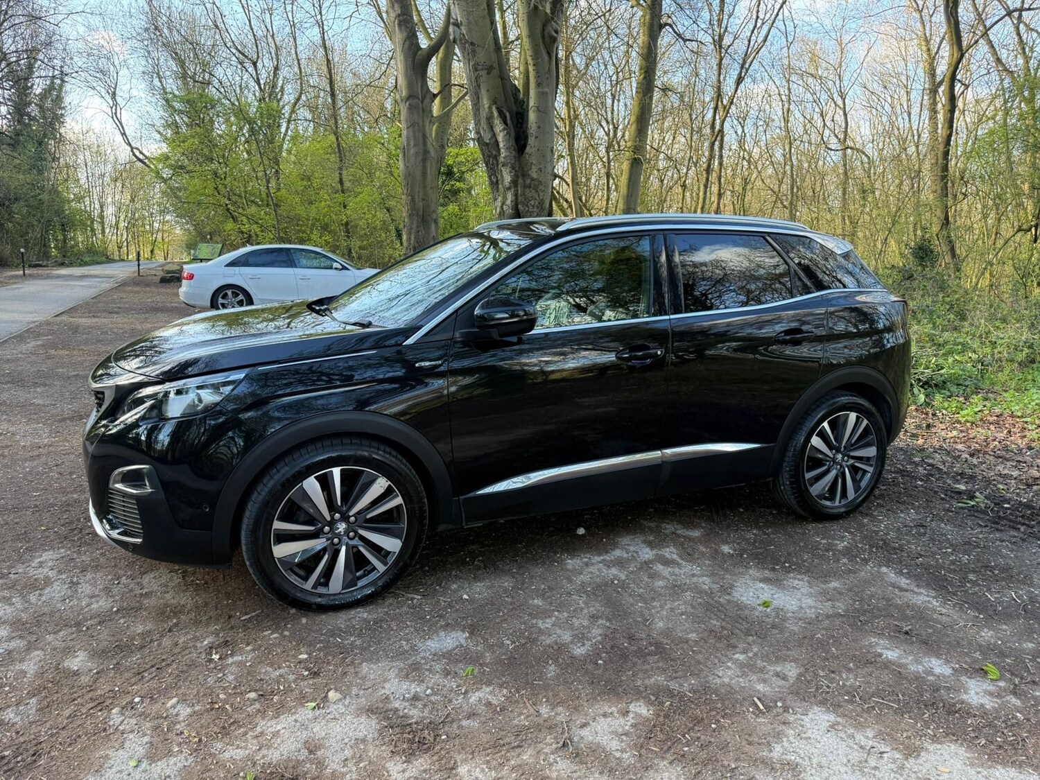 Used Peugeot 3008 2019 for sale - 78107051: Photo 12