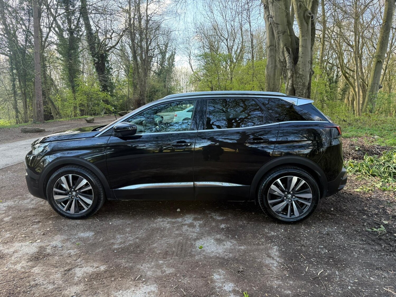 Used Peugeot 3008 2019 for sale - 78107051: Photo 13